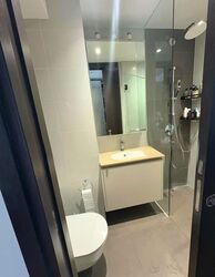 The Lilium (D19), Condominium #530888621